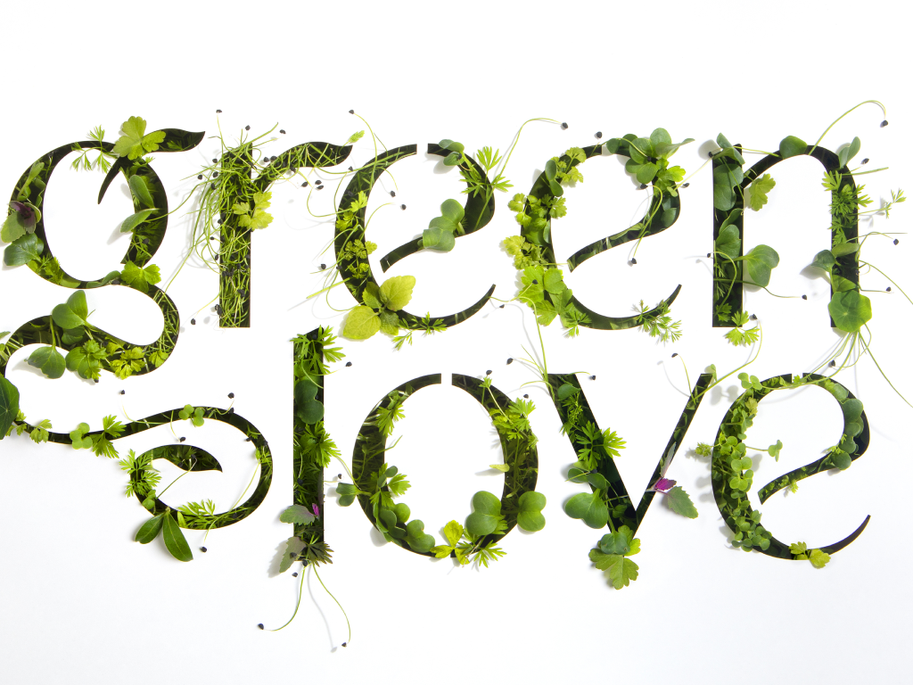 Дизайн упаковки бытовой химии Green Love